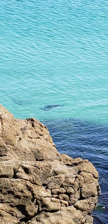 Apartamento Frente Mar Com 02 Suites Bombinhas Εξωτερικό φωτογραφία